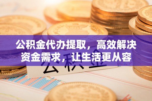 申扎公积金代办提取，高效解决资金需求，让生活更从容