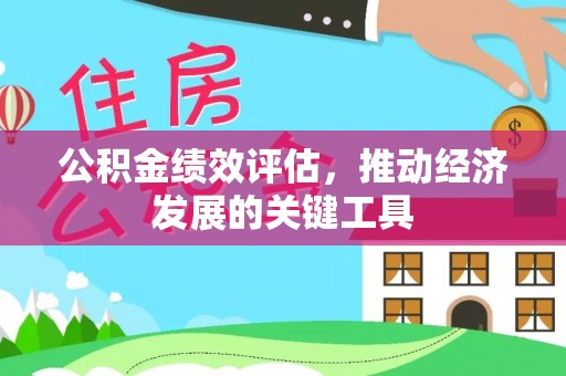 申扎公积金绩效评估，推动经济发展的关键工具