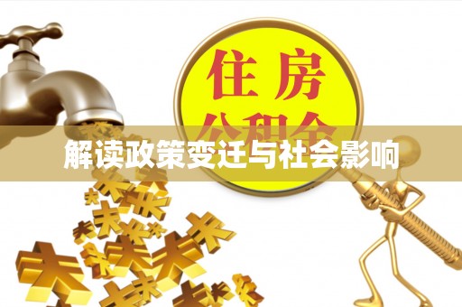 申扎解读政策变迁与社会影响