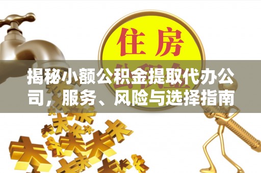 申扎揭秘小额公积金提取代办公司，服务、风险与选择指南