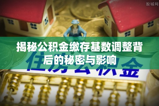申扎揭秘公积金缴存基数调整背后的秘密与影响