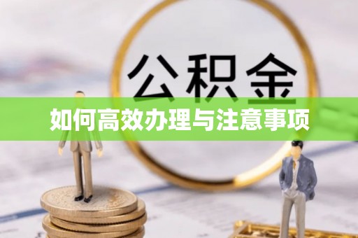 申扎如何高效办理与注意事项