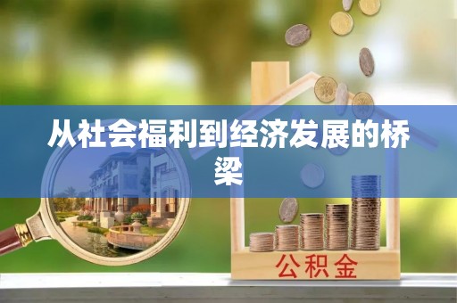 申扎从社会福利到经济发展的桥梁