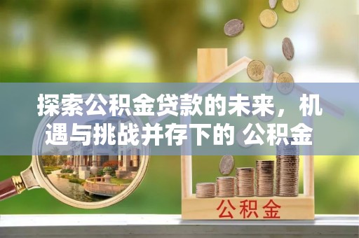 申扎探索公积金贷款的未来，机遇与挑战并存下的 公积金贷款风险防控