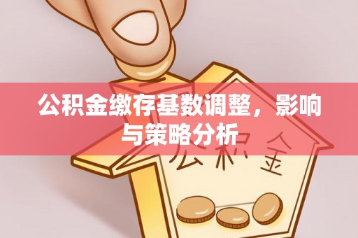 申扎公积金缴存基数调整，影响与策略分析