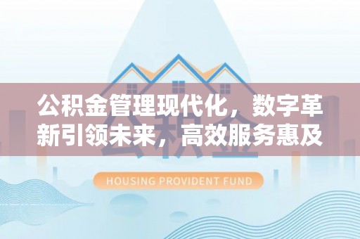 申扎公积金管理现代化，数字革新引领未来，高效服务惠及民生