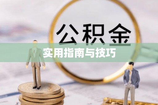 申扎实用指南与技巧