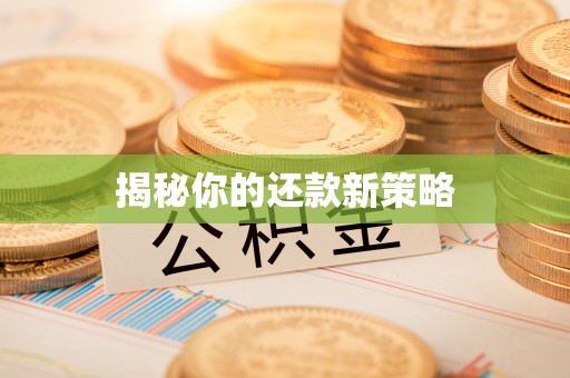 申扎揭秘你的还款新策略
