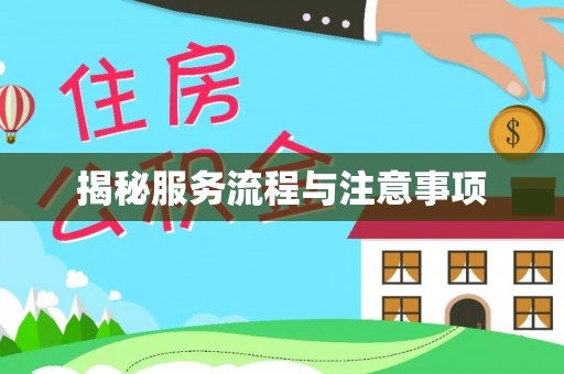 申扎揭秘服务流程与注意事项