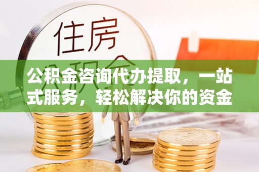 申扎公积金咨询代办提取，一站式服务，轻松解决你的资金难题