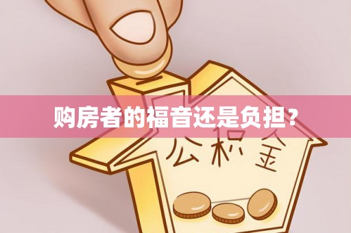 申扎购房者的福音还是负担？