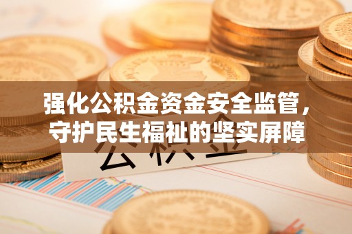 申扎强化公积金资金安全监管，守护民生福祉的坚实屏障
