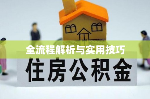 申扎全流程解析与实用技巧