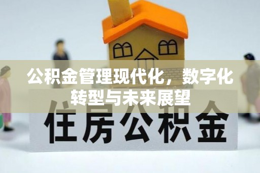 申扎公积金管理现代化，数字化转型与未来展望