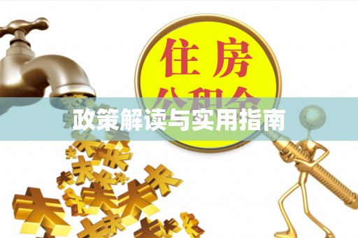 申扎政策解读与实用指南