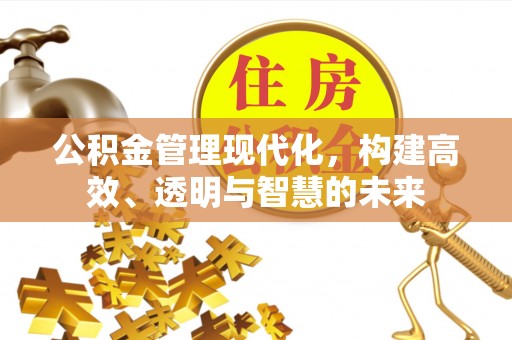 申扎公积金管理现代化，构建高效、透明与智慧的未来