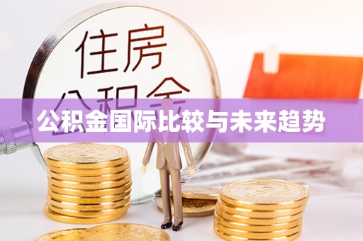 申扎公积金国际比较与未来趋势
