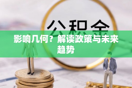申扎影响几何？解读政策与未来趋势