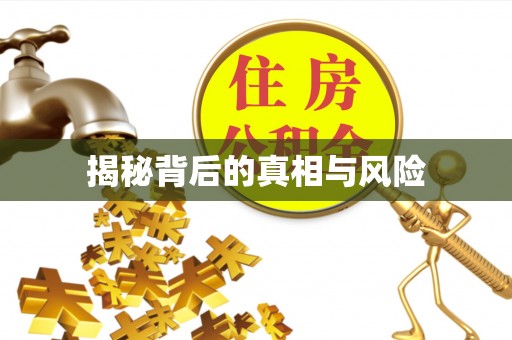 申扎揭秘背后的真相与风险
