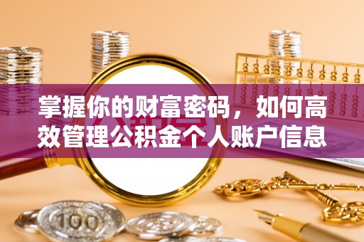 申扎掌握你的财富密码，如何高效管理公积金个人账户信息