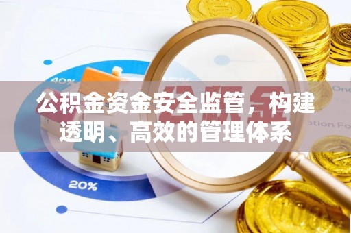 申扎公积金资金安全监管，构建透明、高效的管理体系