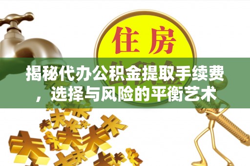 申扎揭秘代办公积金提取手续费，选择与风险的平衡艺术