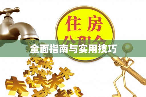 申扎全面指南与实用技巧
