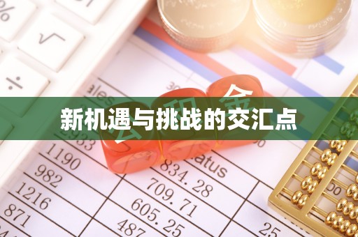 申扎新机遇与挑战的交汇点