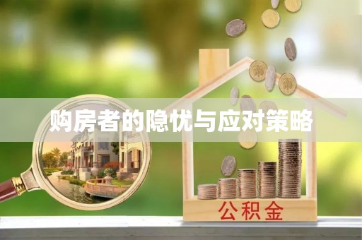申扎购房者的隐忧与应对策略
