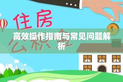 申扎高效操作指南与常见问题解析