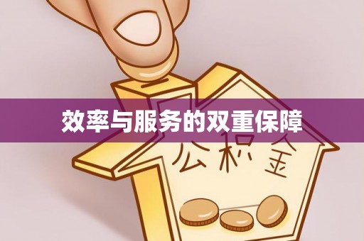 申扎效率与服务的双重保障