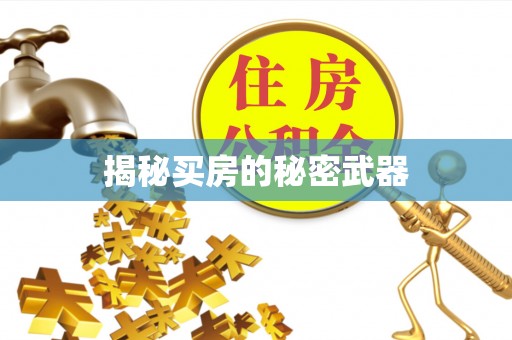 申扎揭秘买房的秘密武器
