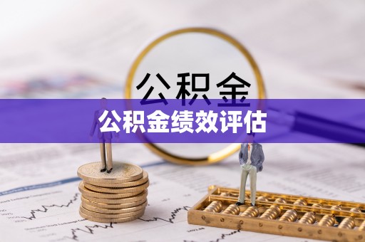 申扎公积金绩效评估