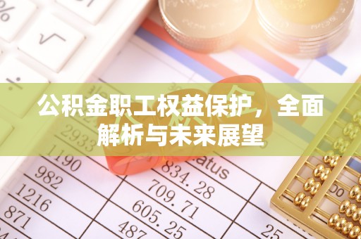 申扎公积金职工权益保护，全面解析与未来展望