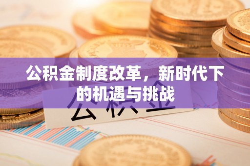 申扎公积金制度改革，新时代下的机遇与挑战