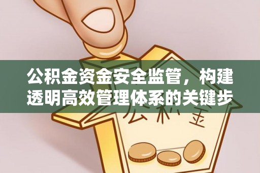 申扎公积金资金安全监管，构建透明高效管理体系的关键步骤
