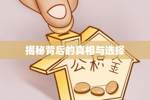 申扎揭秘背后的真相与选择