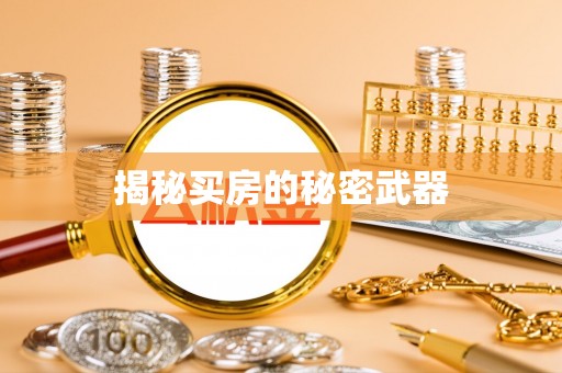 申扎揭秘买房的秘密武器