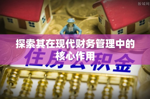 申扎探索其在现代财务管理中的核心作用