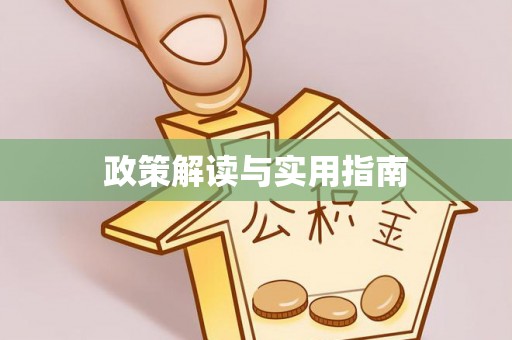 申扎政策解读与实用指南