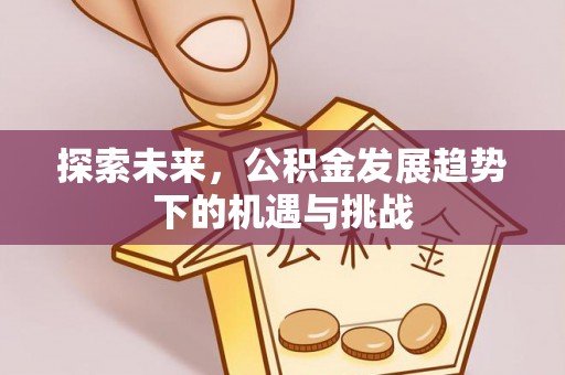 申扎探索未来，公积金发展趋势下的机遇与挑战
