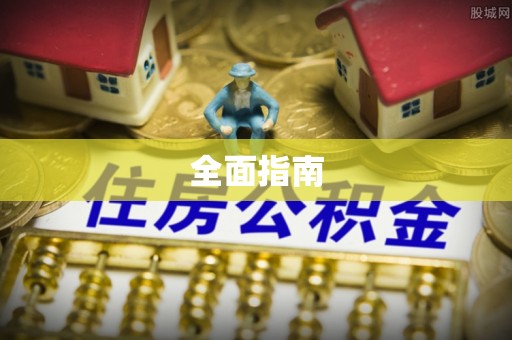 申扎全面指南