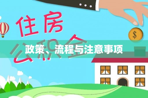 申扎政策、流程与注意事项