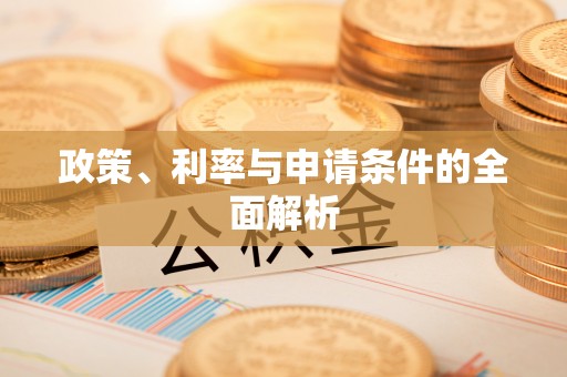 申扎政策、利率与申请条件的全面解析