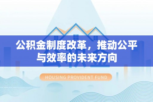 申扎公积金制度改革，推动公平与效率的未来方向