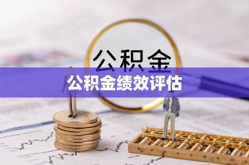 申扎公积金绩效评估
