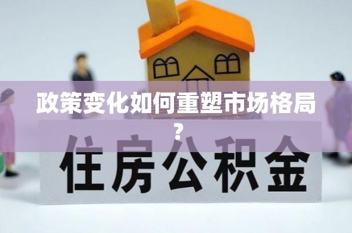 申扎政策变化如何重塑市场格局？