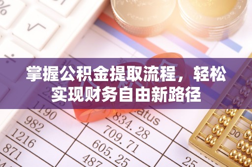 申扎掌握公积金提取流程，轻松实现财务自由新路径