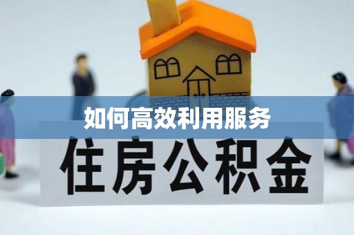 申扎如何高效利用服务