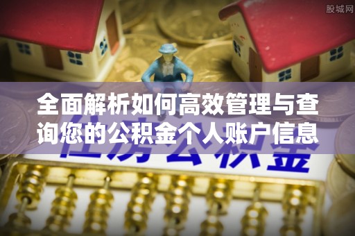 申扎全面解析如何高效管理与查询您的公积金个人账户信息